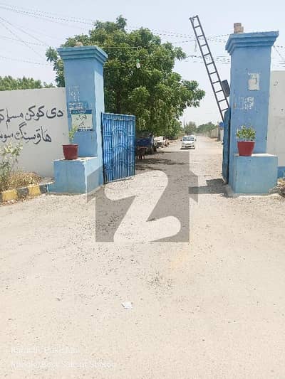 کوکن