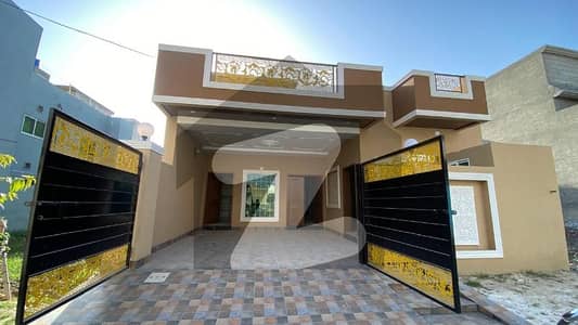 آڈٹ