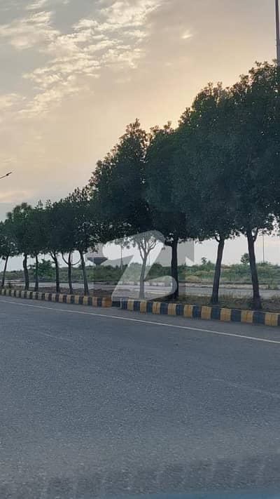 ڈی