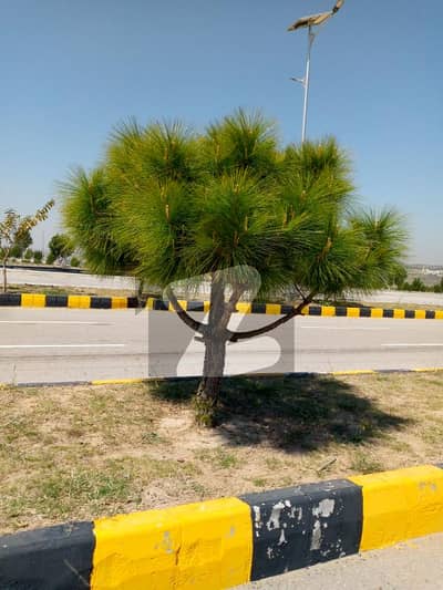 Residential plot for sale in DHA valley Islamabad