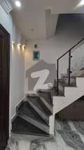 20 